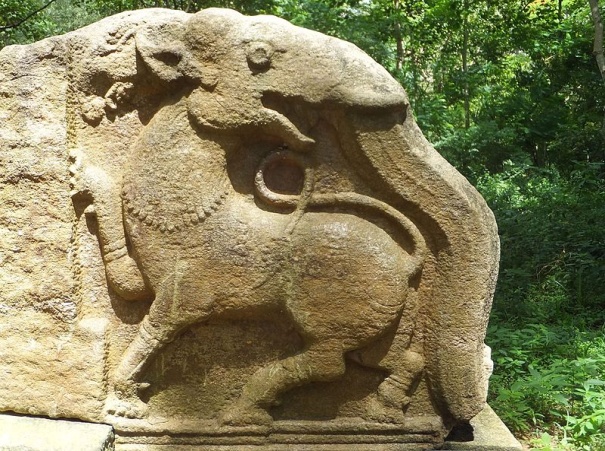 image14