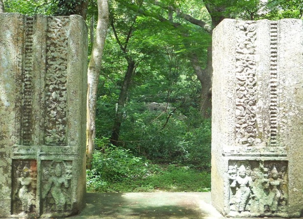 image15